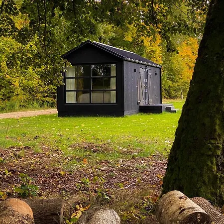 Ragnar Glamp Koknese
